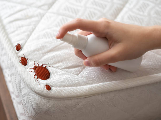 Best Residential Pest Control  in Louise, TX